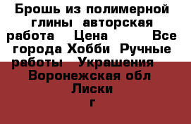 Брошь из полимерной глины, авторская работа. › Цена ­ 900 - Все города Хобби. Ручные работы » Украшения   . Воронежская обл.,Лиски г.